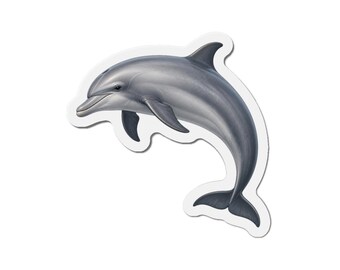 Dolphin Magnet - Ocean Lover Gift - Fridge Magnet