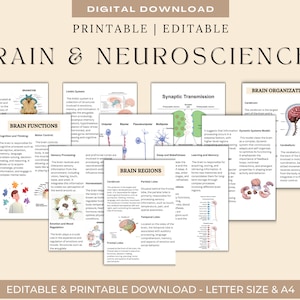 May include: Printable educational poster with colourful illustrations and diagrams about the brain and its functions. The poster includes sections on brain functions, brain regions, brain organisation, and synaptic transmission. The poster is titled "Brain & Neurosciences".