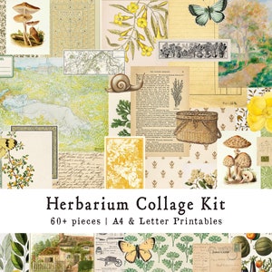 Kit de collage vintage HERBARIUM, hoja de collage, jardinería, naturaleza, estilo cottagecore, imprimible, diario basura, álbum de recortes, efímera, recortes, digital