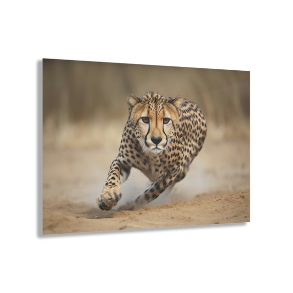 Cheetah Sprint | Acrylic Wall Art