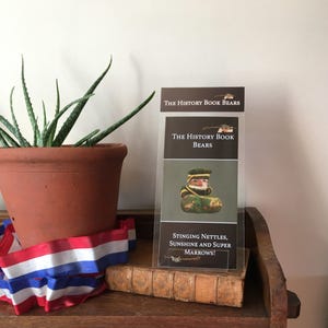 The History Book Bears - Pocket Money Keepsakes! Folded paper story/A3 Poster - Kindness - Make do & Mend! '..Stinging Nettles, Sunshine..'!