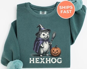 Halloween Hedgehog Sweatshirt: Comfort Colors Funny Witch Sweater, Spooky Season Crewneck Shirt