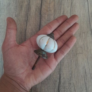 May include: White ceramic cabinet knob with a gold stripe and a brass screw. The knob is shaped like a pumpkin.
