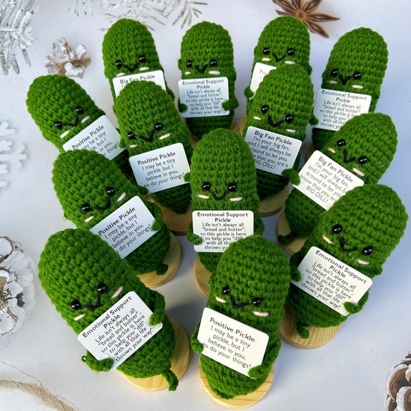 Handgemachte häkeln emotionale Unterstützung Pickles-Mental Gesundheit Geschenk für Familie / Freunde / Team, benutzerdefinierte Pickle Geschenk, Pickle Amigurumi-Muttertagsgeschenk