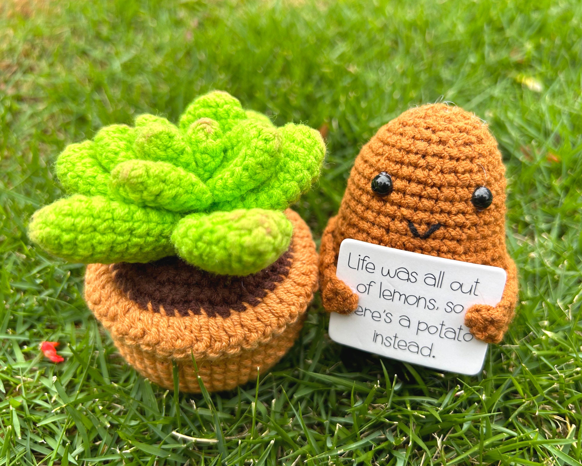 Häkeln Sie positive Kartoffel mit Sukkulenten Etsy.de