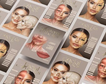 Human Anatomy Poster Set | Facial Muscles, Bones, Fat, Veins & Botox Injection Points | Canva Templates