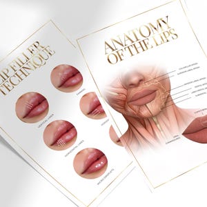 May include: Two illustrations showing different lip filler techniques and the anatomy of the lips. The first illustration shows four different lip filler techniques:  "Framing", "Vertical Lines", "Horizontal Lines", and "Micro Droplets". The second illustration shows the anatomy of the lips with labels for the muscles and tissues.