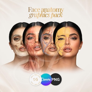 Peut inclure: Un pack graphique pr&eacute;sentant quatre illustrations du visage d'une femme, chacune repr&eacute;sentant une couche diff&eacute;rente de l'anatomie faciale. Les illustrations incluent la structure osseuse, les muscles, les veines et une superposition jaune. Le texte "Face anatomy graphics pack" est en haut.