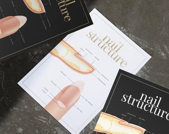 Canva | Poster template | Nail Structure | Anatomy | Esthetician | Dermatology | Beauty Salon | Nail Artist | Nail Tech Salon Decor
