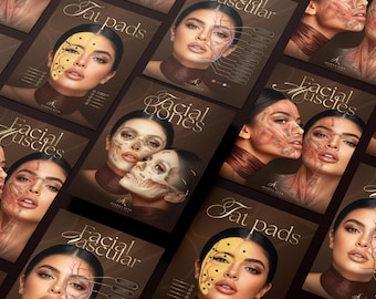 Human Anatomy Poster Set | Facial Muscles, Bones, Fat, Veins & Botox Injection Points | Canva Templates