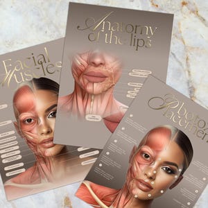 May include: Three educational posters on a marble surface. The posters feature detailed anatomical illustrations of the face, including "Facial Muscles," "Anatomy of the Lips," and "Botox Placements." The text is in a gold script font.