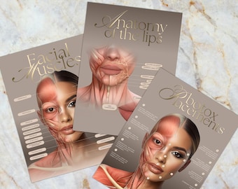 Canva | Ensemble de modèles d'affiches | Art des muscles faciaux | Injecteur de Botox et de comblement | Anatomie | Esthéticienne | Esthétique | Botox