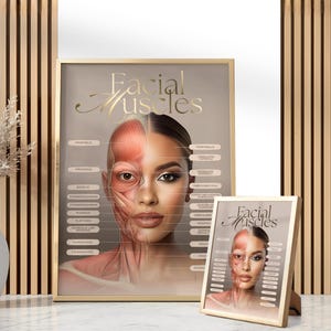 May include: A framed poster and a smaller framed print displaying a detailed anatomical illustration of facial muscles. The artwork features a woman's face, with one side showing the muscles and the other side showing the skin. The text "Facial Muscles" is at the top.