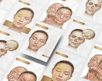 Human Anatomy Poster Set | Facial Muscles, Bones, Fat, Veins & Botox Injection Points | Canva Templates