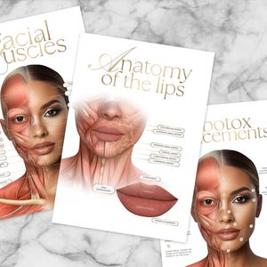 Puede incluir: Tres carteles blancos con texto dorado e ilustraciones de anatomía facial. Un cartel dice "Facial Muscles", otro "Anatomy of the Lips" y el tercero "Botox Placements". Las ilustraciones muestran diagramas anatómicos detallados de la cara.