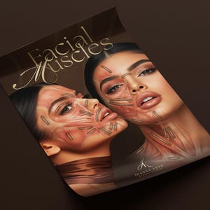 Canva | Poster template | Facial muscles art |  Botox & Filler Injector | Anatomy | Esthetician |Aesthetic | Dermatology | Beauty Salon