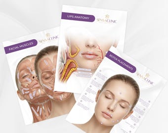 Canva | Poster template | Facial muscles art |  Botox & Filler Injector | Anatomy | Esthetician |Aesthetic | Dermatology | Beauty Salon