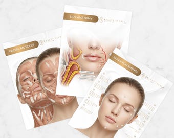 Canva | Poster template | Facial muscles art |  Botox & Filler Injector | Anatomy | Esthetician |Aesthetic | Dermatology | Beauty Salon