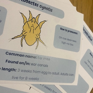 Veterinary Ectoparasite Revision Cards