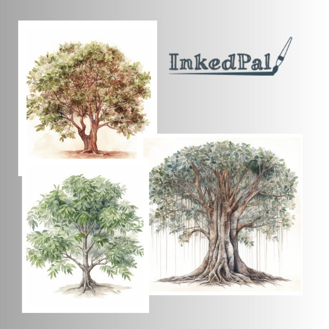 Watercolor Woodlands Clip Art & Image Files Bundle Forest - Etsy