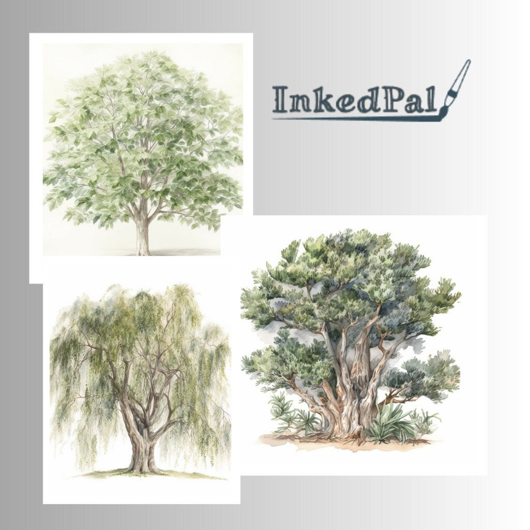 Watercolor Woodlands Clip Art & Image Files Bundle Forest - Etsy