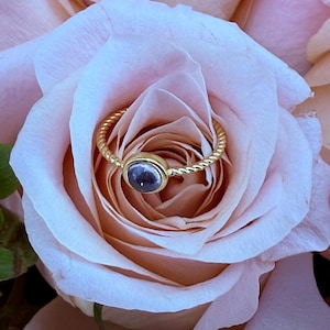 May include: A gold ring with a twisted band and a small, oval, dark blue gemstone. The ring is set against a backdrop of soft pink rose petals, creating a delicate and romantic aesthetic.