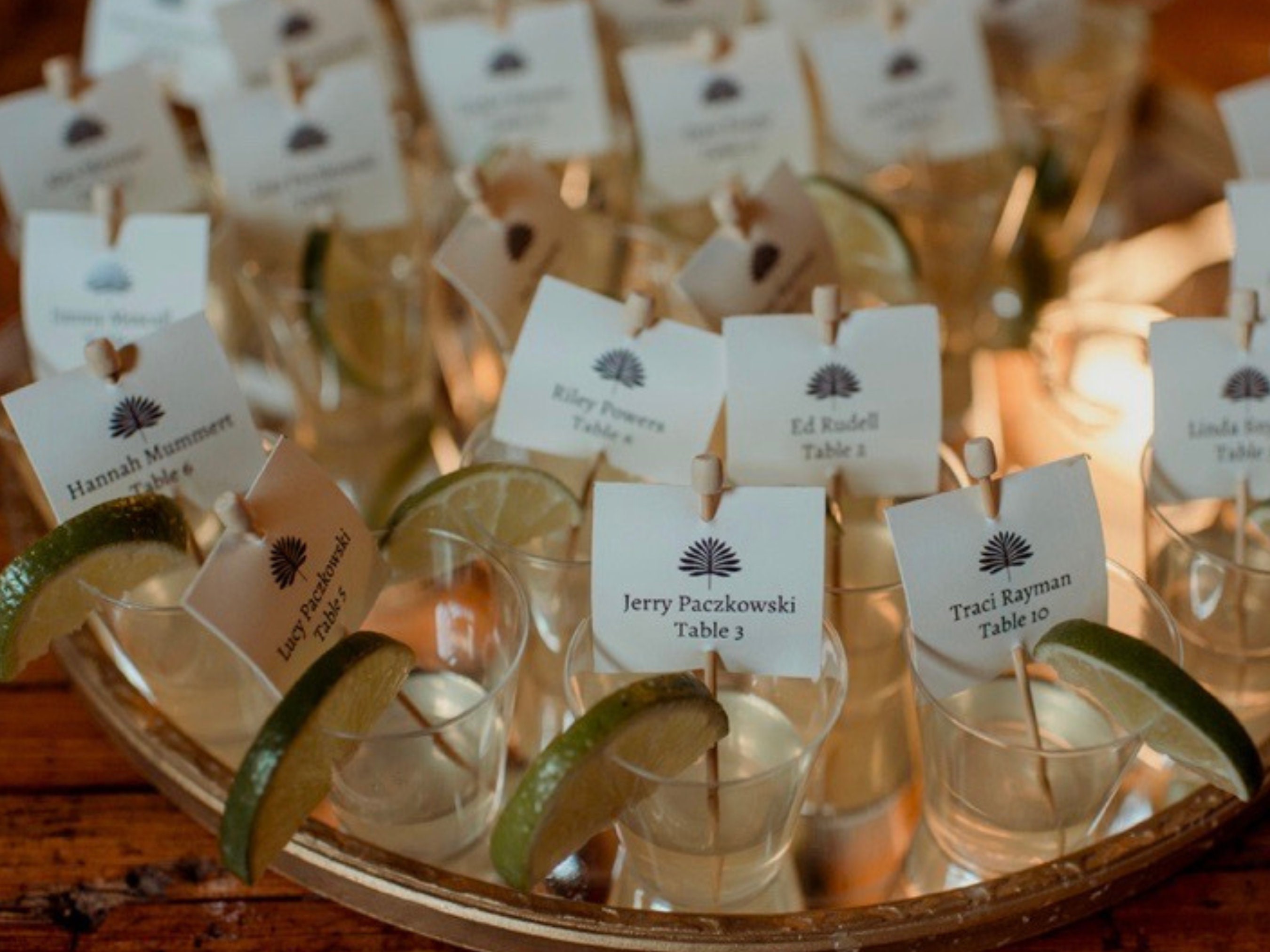 Modern Frond Wedding Seating Chart: Margarita Shot Tags (template ...