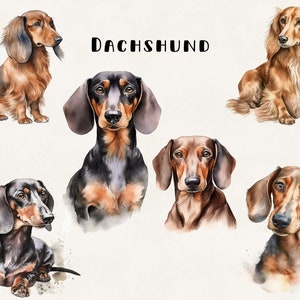 Dachshund Dog Clipart Bundle Commercial Use Watercolor Digital Design Bundle PNG Files