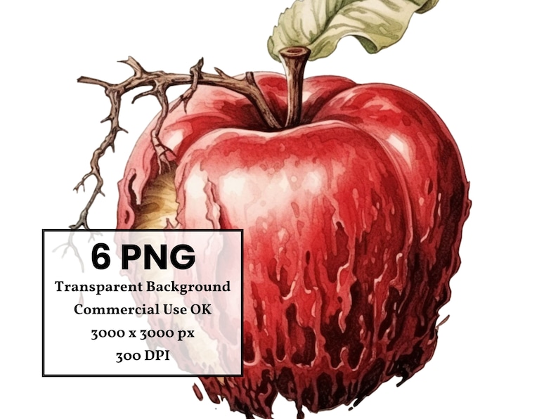 Rotten Apple Watercolor Clipart: Commercial Use Digital Bundle (PNG) - Etsy
