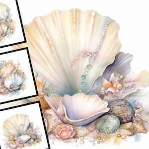 Sea Shells Clipart Bundle Watercolor Commercial Use Digital Design Bundle Download Clipart Pastel Sea Shells