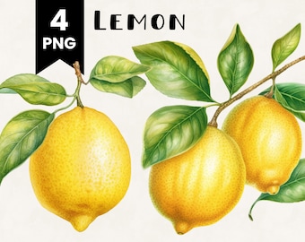 Watercolor Lemon Clipart Bundle: Commercial Use PNG Files (Digital Download)