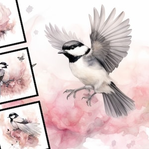 Black and White Bird Clipart Bundle Aquarel Commercieel Gebruik Digital Design Bundle Download Clipart Levendige Black and White Bird
