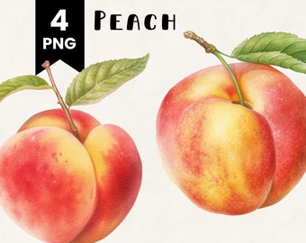 Peach Clipart Bundle Commercial Use Watercolor Peaches Digital Design Bundle PNG Files