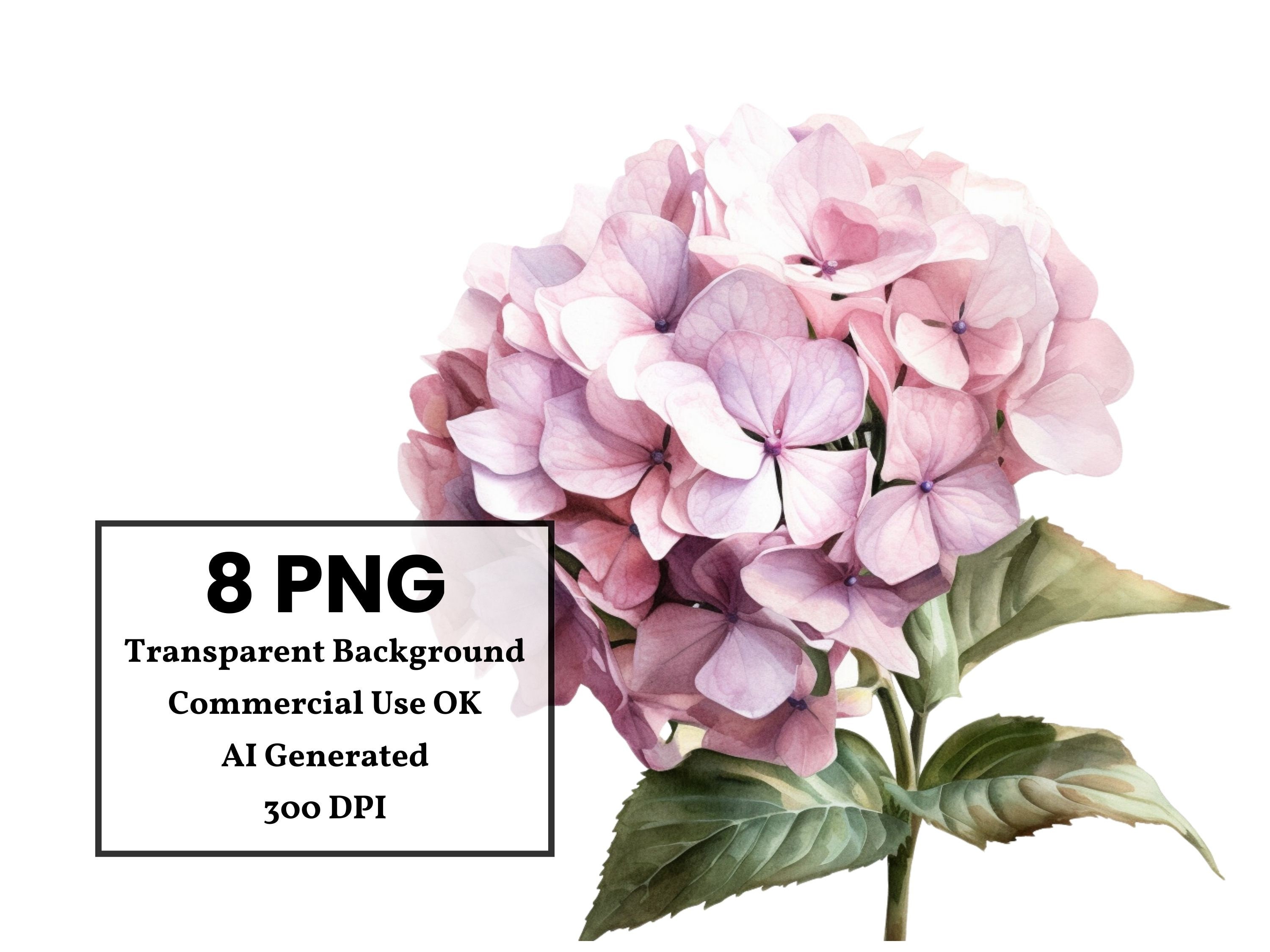 Hydrangea Clipart Watercolor Blue Pink Hydrangea Clipart - Etsy
