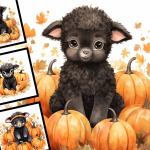 Könnte beinhalten: Ein schwarzes Lamm mit großen braunen Augen sitzt umgeben von orangefarbenen Kürbissen und Herbstblättern.