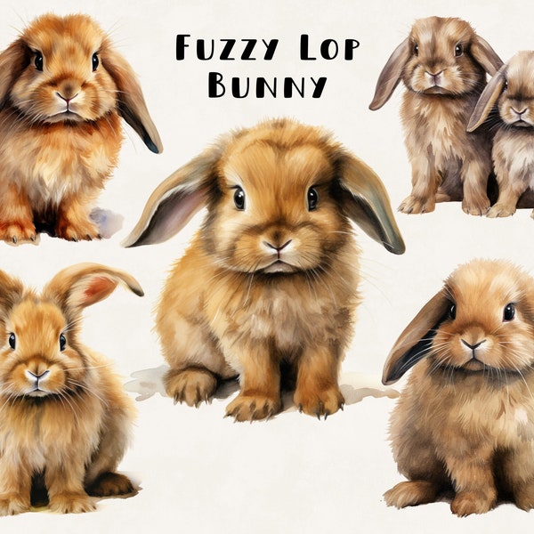 Fuzzy Lop Bunny Clipart Watercolor Illustration Commercial Use Digital Design Bundle for POD Sublimation Scrapbooking Collage