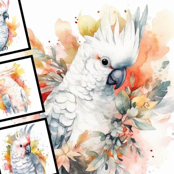 8 Watercolor Cockatoo Parrot Illustration Nursery Art Commercial Use Digital Design Bundle Cockatoo with Flowers POD JPG files