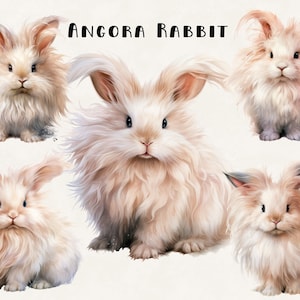Angora Kaninchen Clipart Aquarell Illustration Kommerzielle Nutzung Digital Design Bundle für POD Sublimation Scrapbooking Collage