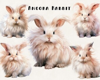 Angora Kaninchen Aquarell Clipart: Kommerzielle Nutzung Digitales Design (Digitaler Download)