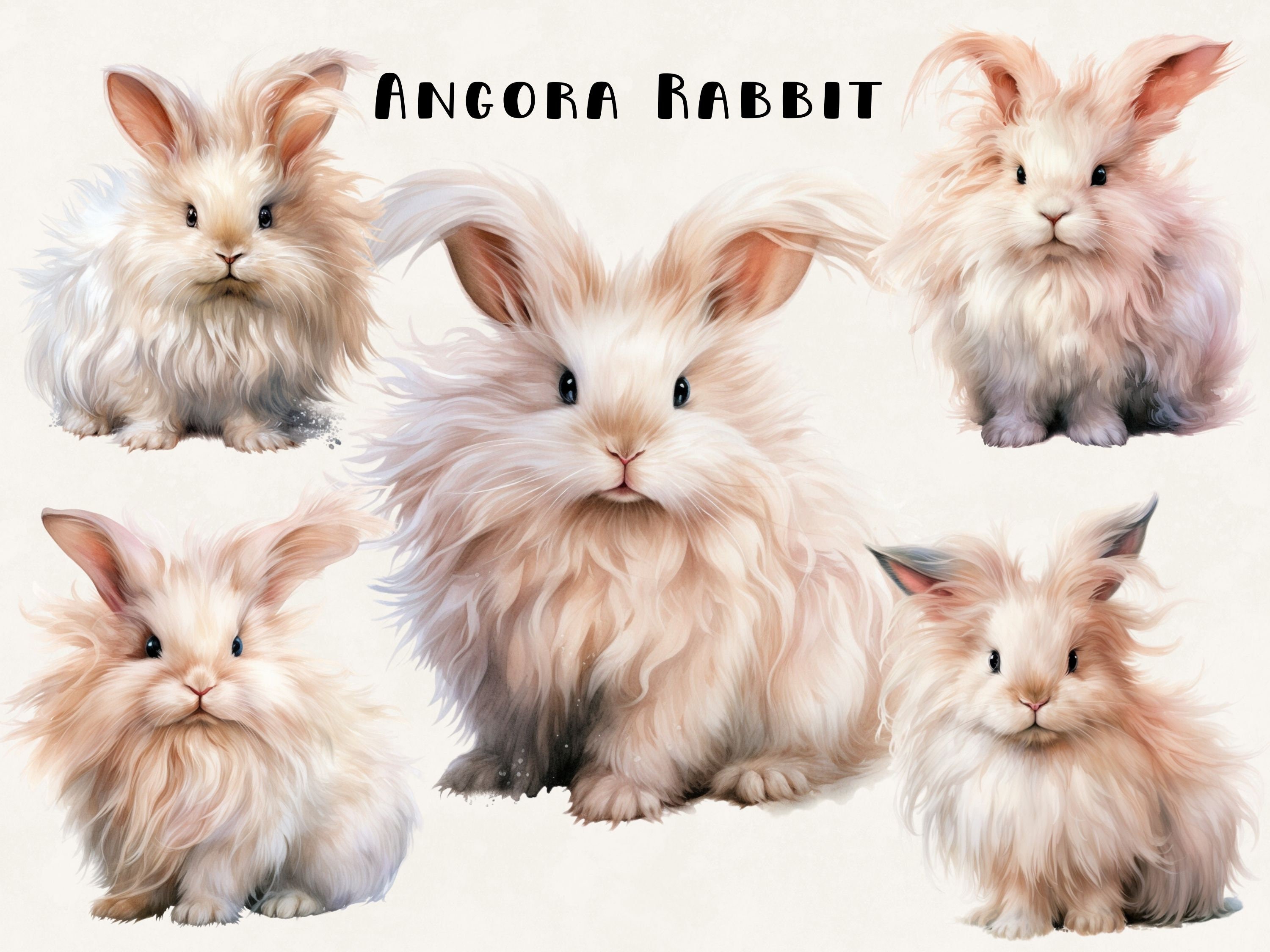 Angora Rabbit Clipart Watercolor Illustration Commercial Use Etsy