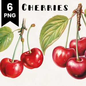 May include: Illustration of six ripe red cherries on a branch with green leaves. The text "6 PNG" is in a black box in the upper left corner. The word "CHERRIES" is above the cherries.