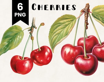 Cherries Clipart Bundle Commercial Use Watercolor Cherry Fruit Digital Design Bundle PNG Files