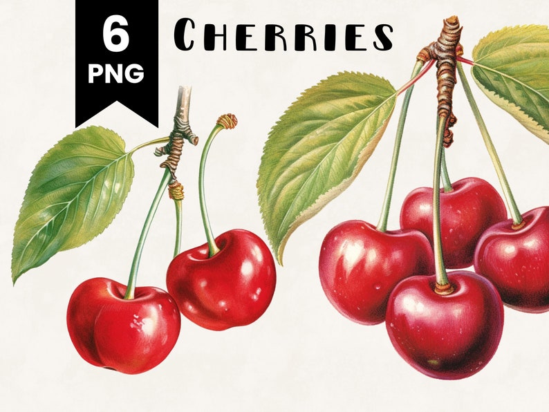 May include: Illustration of six ripe red cherries on a branch with green leaves. The text "6 PNG" is in a black box in the upper left corner. The word "CHERRIES" is above the cherries.