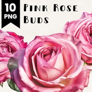 10 Pink Rose Bud Flower Clipart Bundle Commercial Use Allowed Digital Design Bundle Collage Crafts POD Digital Download PNG Clipart