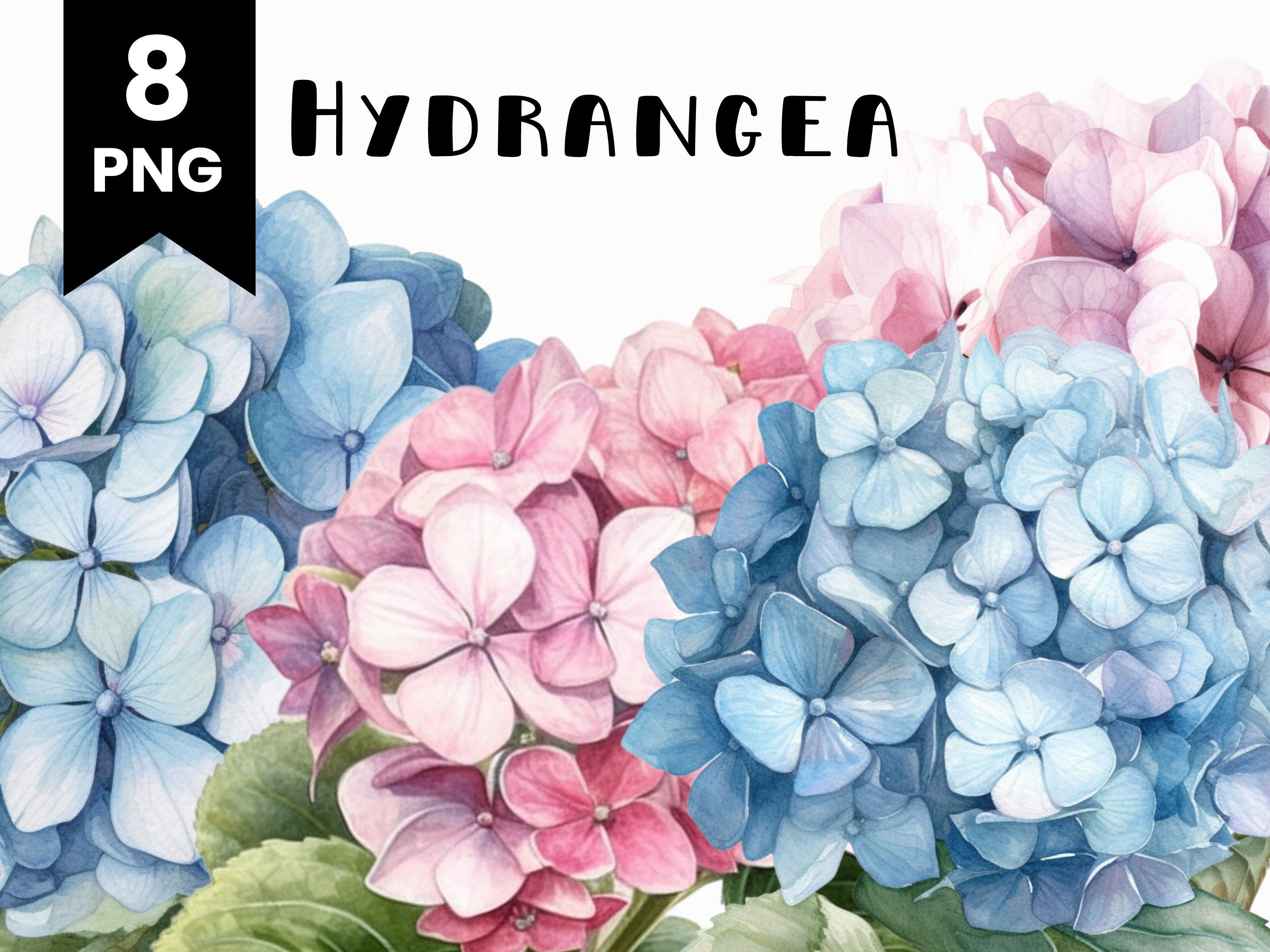 Hydrangea Clipart Watercolor Blue Pink Hydrangea Clipart - Etsy