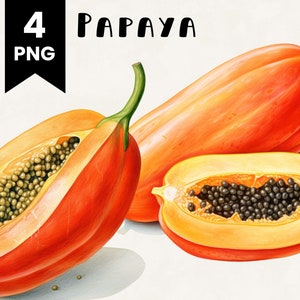 Pacote de clipart de mamão uso comercial aquarela mamão frutas pacote de design digital arquivos PNG