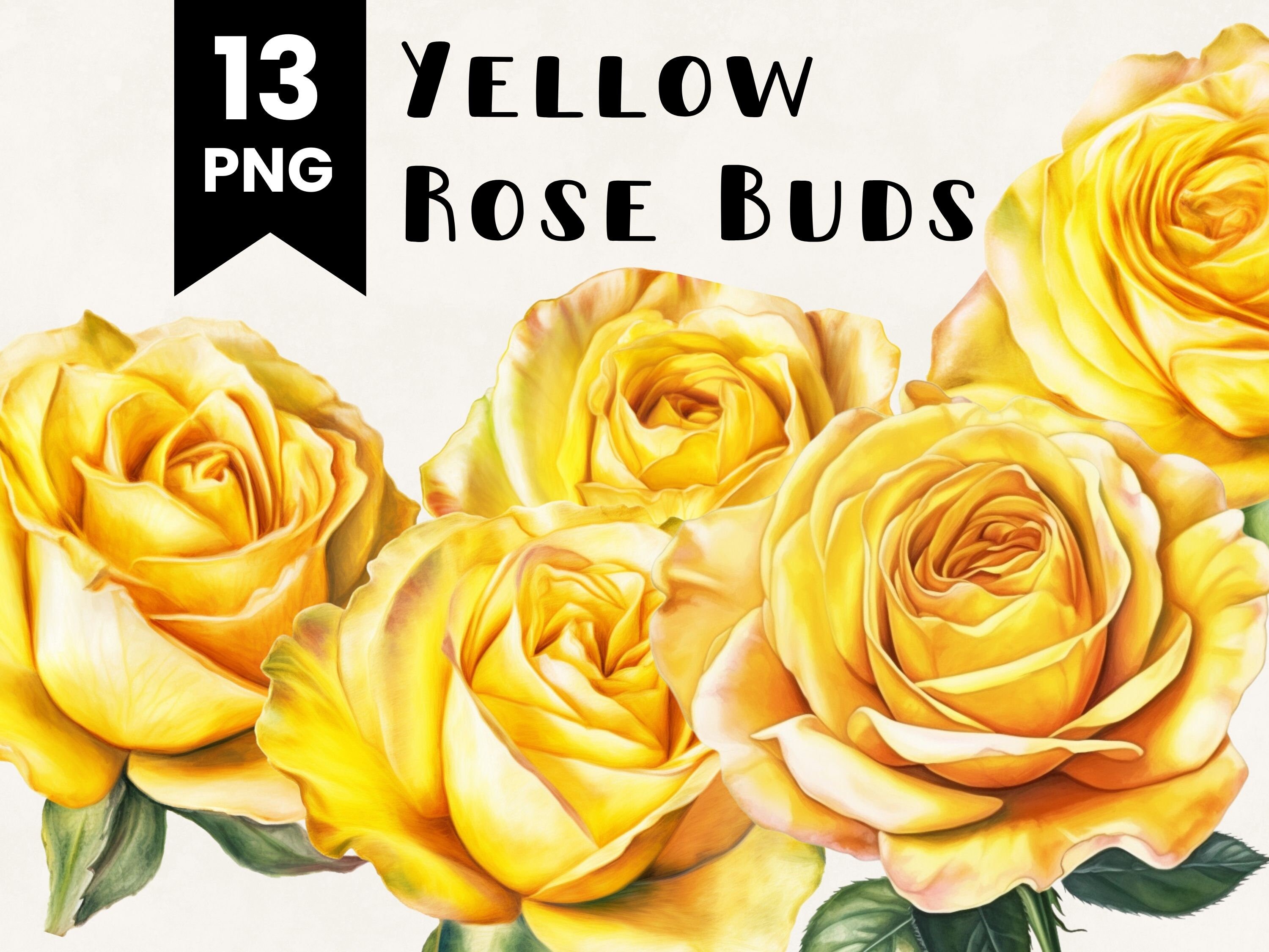 13 Yellow Rose Bud Flower Clipart Bundle Commercial Use Etsy