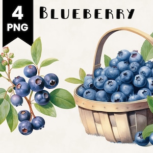Blueberry Clipart Bundle Commercial Use Watercolor Blueberries Fruit Digital Design Bundle PNG Files