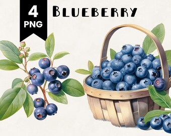 Blueberry Clipart Bundle Commercial Use Watercolor Blueberries Fruit Digital Design Bundle PNG Files