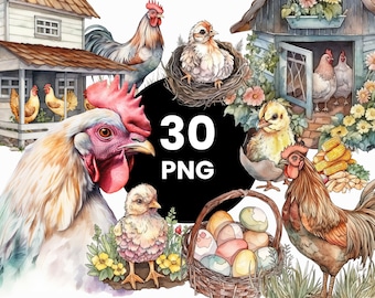 Ultimate Chicken Clipart Bundle Watercolor Commercial Use Animated Animal Digital Design Bundle PNG files